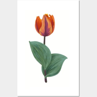 Tulip Posters and Art